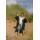 DRYROBE Advance Short Sleeve KIDS 5-9 Back Grey