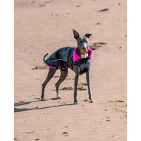 DRYROBE Dog Coat Hundemantel Schwarz Camo Pink XS