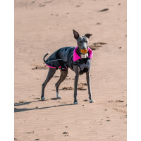 DRYROBE Dog Coat Hundemantel Schwarz Camo Pink XXL