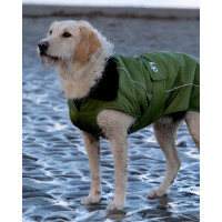 DRYROBE Dog Coat Hundemantel Dunkelgrün Schwarz XS