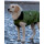 DRYROBE Dog Coat Hundemantel Dunkelgrün Schwarz XS