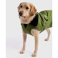 DRYROBE Dog Coat Hundemantel Dunkelgrün Schwarz S