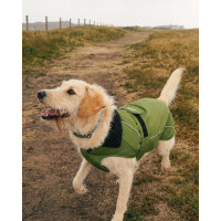 DRYROBE Dog Coat Hundemantel DunkelgrünSchwarz XXL